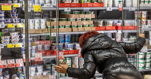 Kétségbeesetten kérik a tejtermelők, hogy csak magyar tejet kínáljanak akciós áron a boltok