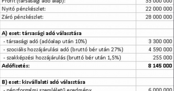 10 dolog, amit a kisvállalati adóról tudnia kell