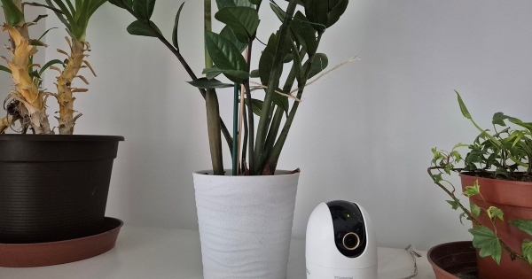 Hirtelen kamerák jelennek meg az irodában, az étkezőben. Megteheti ezt csak úgy a munkáltató?