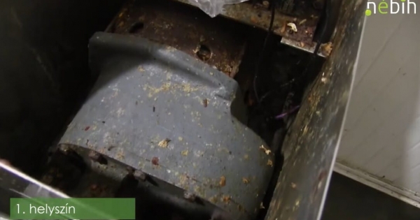 Penészes húscafatok, rovartetemek, rágcsálóürülék: gyomorforgató videón a leállított húsüzemek