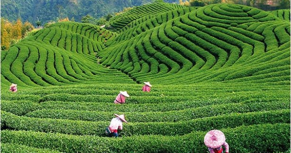 A tea és a pénzügyek – a bostoni teadélután