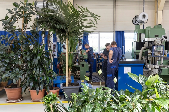 Nappali fikuszokkal, kávézóasztallal és CNC-gépekkel: így lép ki a világpiacra egy békéscsabai cég