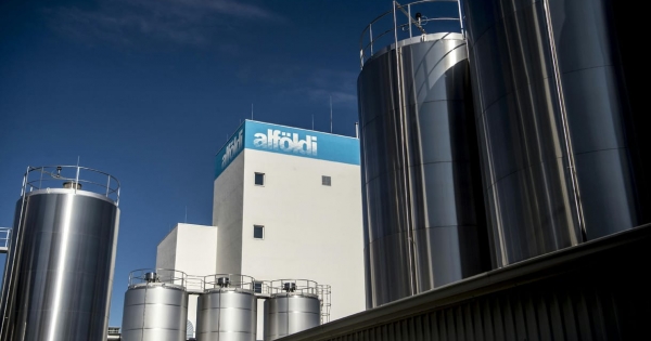 A kormány a szuverenitás jegyében tőgyön rúgta az ország egyik legnagyobb tejvállalatát