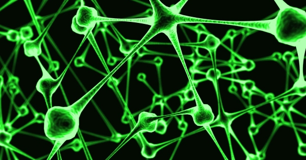 Speciális vizsgálati osztályokat vet be a NAV: ideje komolyan venni a transzferárszabályokat!