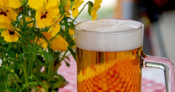 Őstermelő milyen feltételekkel állíthat elő sört és értékesítheti azt piacon?