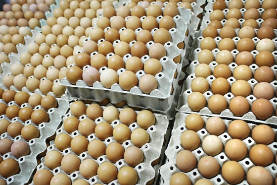 Türelmi időt kaptak a hatósági árak bevezetésére a kereskedők