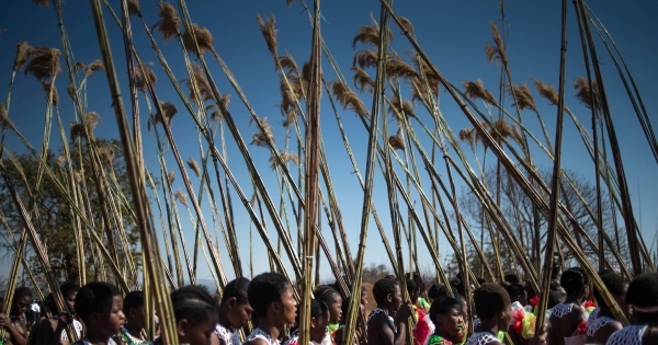 Újfajta asszonyváltságot eszelt ki a szvázik soknejű királya
