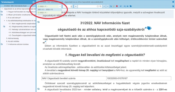 Mit gondolnak a cégautóadóról a NAV szakemberei?