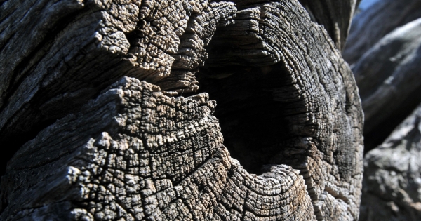 Nincs 40 év szolgálati idő. Jogosult lehet nők kedvezményes nyugdíjára?