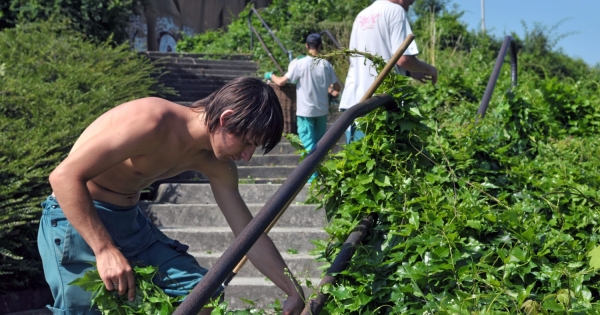 Tb-ellátások egy hónap munkaviszony után? Így lehetséges
