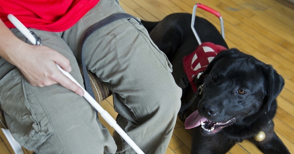 Egészségkárosodottak tb-ellátásának feltételei