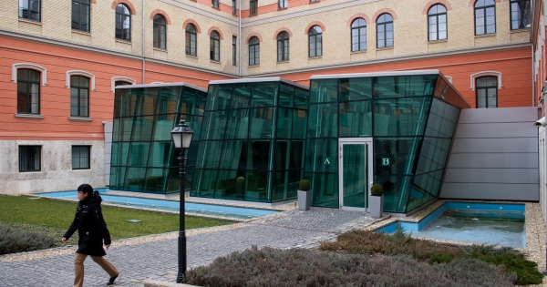 Bizonytalanságok a cégkapu körül