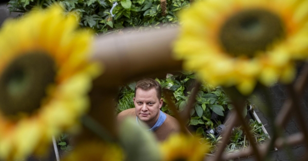 A nap kérdése: régi őcsg-ből új, melyiké a bevétel?