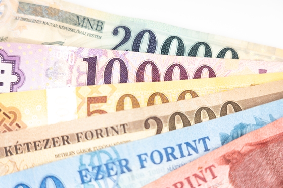 Nehéz anyagi helyzetére hivatkozva nem vallott be félmilliárd forintnyi áfát egy cégvezető