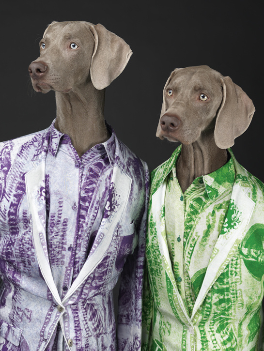 Kutyások, figyelem: új adó a láthatáron!