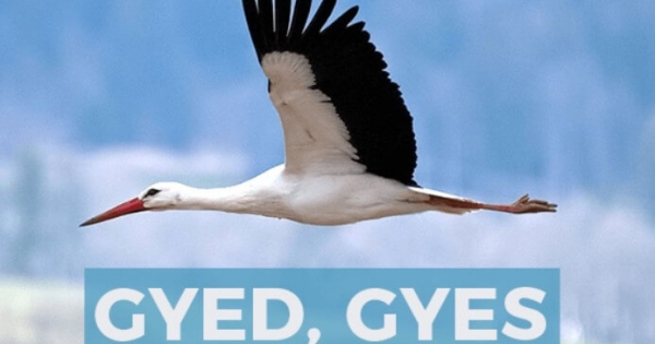 Több marad az adózónál július 1-től