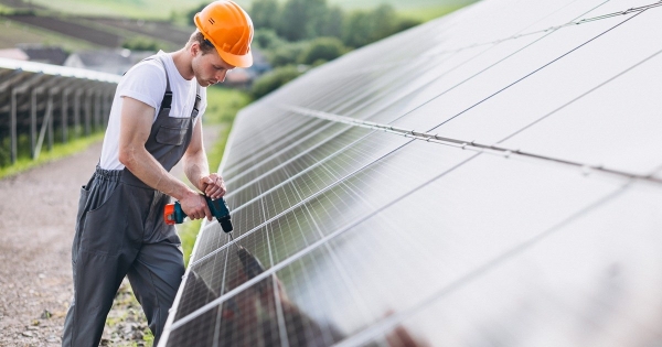 A nap kérdése: milyen adófizetési kötelezettsége van az őstermelőnek a napelemmel termelt többlet villamosenergia után?