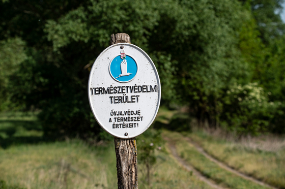A magyar kormány ellenállásán is múlhat, elfogadják-e az EU új természetvédelmi szabályait
