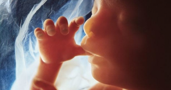 A gyermekvállalás és a gyermeknevelés támogatása – a társadalombiztosítás a II. világháborúig