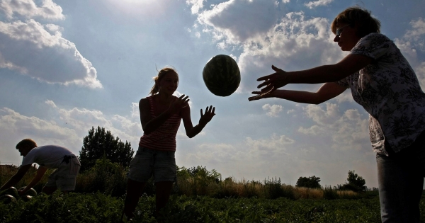 Ki segíthet az őstermelőnek a termény értékesítésében?