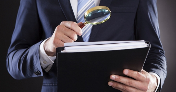 Itt a NAV 2025. évi ellenőrzési terve