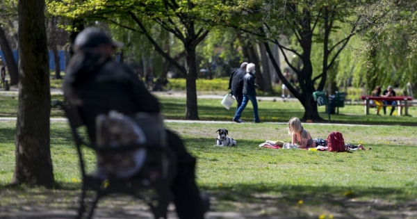 900 milliós szerződést kötött a főváros a parkfenntartási botrányban érintett egyik céggel a Városliget karbantartására