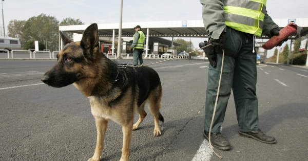 Kényszerítő eszközök a NAV-nál: új rendelettervezet, lapozzon bele!