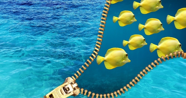 Kft. egyszerűsített végelszámolása: amikor több a követelés, mint a fedezet