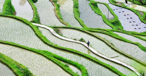 Az ingatlanalapok illetéke – ezek a szabályok