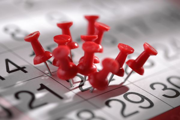 Céges teendők március 15-éig, és amire van haladék