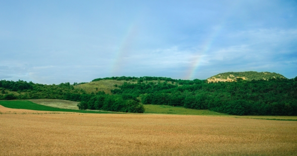 Igazi sikertörténet lett a magyar csodafegyverekből