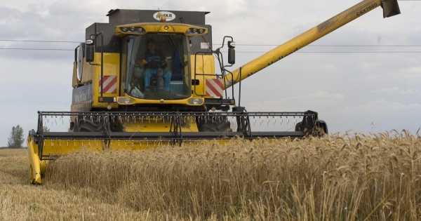 A magyar mezőgazdaságban is zavarokat okozhat a közel-keleti háború