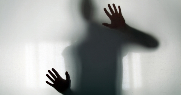 Cég ügyvezetője munkaviszonyban: lehetséges egyszemélyes kft.-nél?