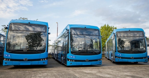 BKK: új elektromos BYD autóbuszok állnak forgalomba