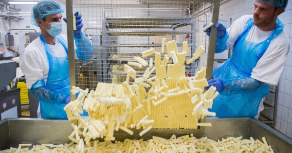 Jól néz ki a boltban, hogy olcsóbb a vaj, de súlyos ára lesz