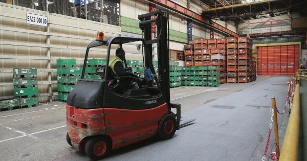 Munkahelyi baleset: egyszeri külső hatás-e a fejrándítás, üzeminek számít-e a baleset?