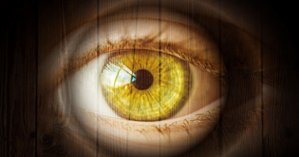 Kevésbé óvják a képernyő előtt dolgozókat a munkavédelmi előírások