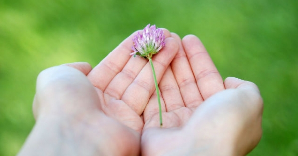 Mekkora az adó 1%-os összeg, amiről érdemes rendelkezni?
