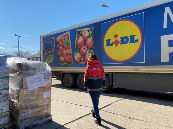 Nem engedték be a boltokba vakvezető kutyával, beperelte a kolozsvári férfi a Lidlt és a Profit