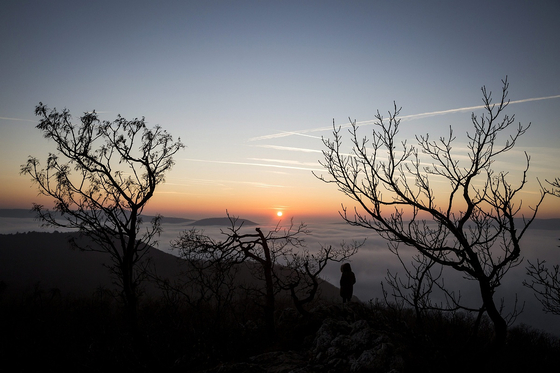 Most csodás panorámájú hármashatár-hegyi ingatlant vásárolt Rogán Antal ügyvéd barátja