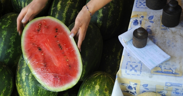 Saját termés értékesítése: idénymunka vagy alkalmi munka lehet?