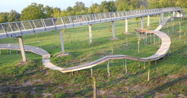 Csak egy rámpa maradt az elfuserált kerékpáros kalandparkból, de a beton lombkoronasétány még áll