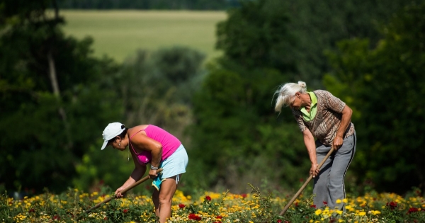 Erről minden agrárosnak tudnia kell!