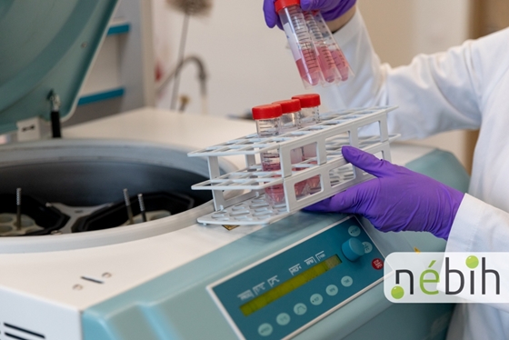 Valamennyi növényi fehérjepor megbukott a Nébih vizsgáján