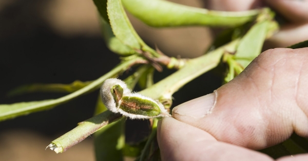 Fiatal gazda őstermelésre vált. Ez lesz gépeinek, fagykártámogatásának a sorsa