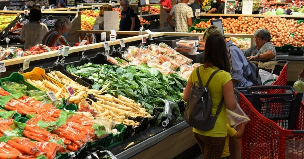 Megjött az Auchan bizonyítványa: mérsékelt forgalombővülés zuhanó nyereséggel párosult, de a benzinkutak kitettek magukért