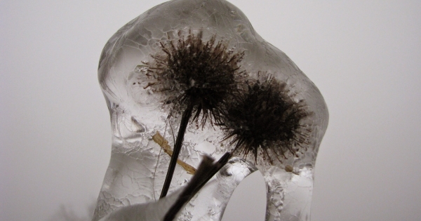 Mérsékelje tao-ját – a szükséges adatszolgáltatások példákkal