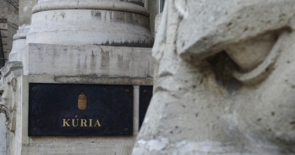 Állami tulajdon? Nem lehet szó gazdasági kockázatvállalásról