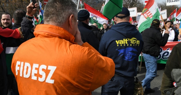 950 milliós osztalékot vesz ki Sarka Kata férje és annak üzlettársa a Valtonból