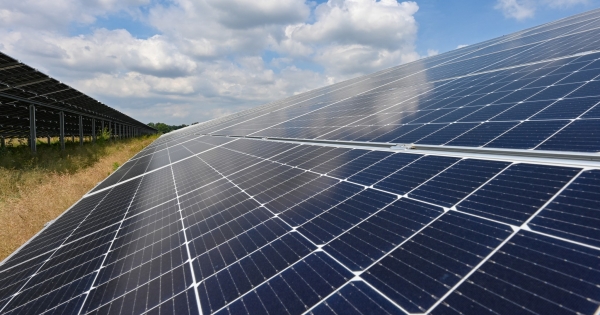 Napelemparkot létesít? Tudja, hogy mikortól kell iparűzési adót fizetnie?